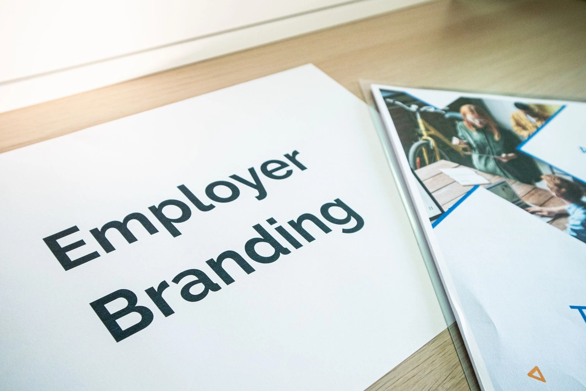 branding web design expertise